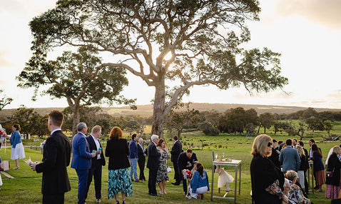 Wedding guests mingling outside at Eagle Bay's wedding venue at sunset with a large tree in the background